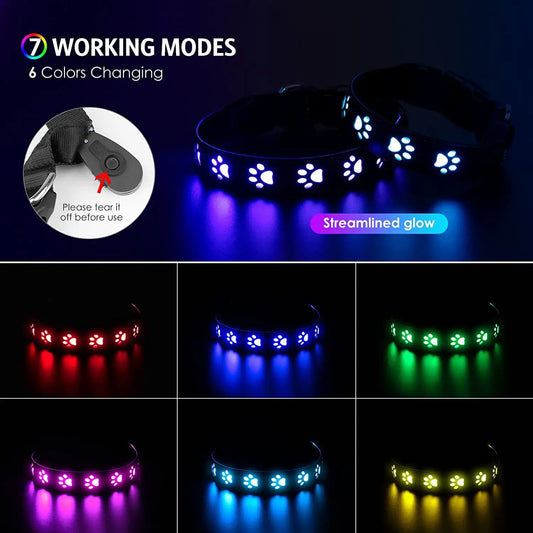 Rainproof Nylon Rechargeable LED Dog Collar