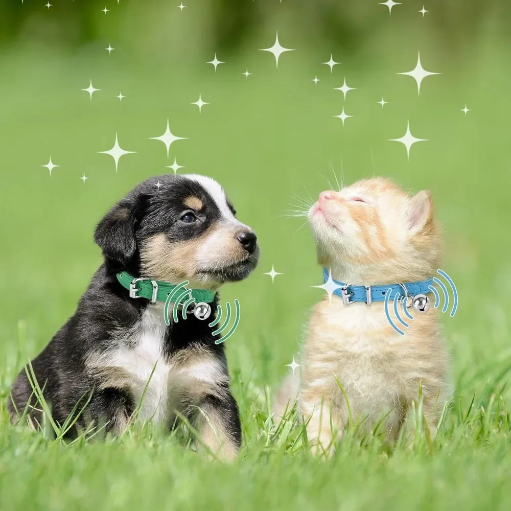 Adjustable Teacup Dog Collar