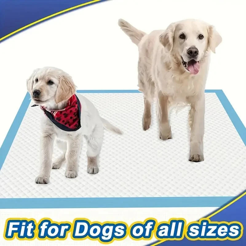 100/50/40PCS Quick-Dry Design Dog Pee Pads with Leak-Proof