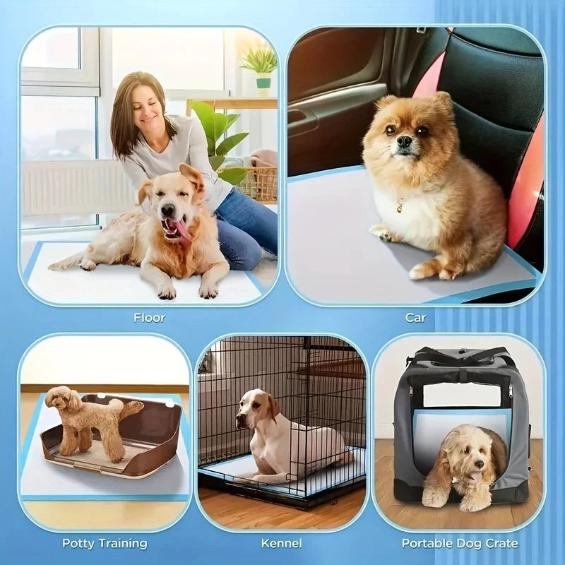100/50/40PCS Quick-Dry Design Dog Pee Pads with Leak-Proof