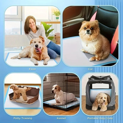 100/50/40PCS Quick-Dry Design Dog Pee Pads with Leak-Proof