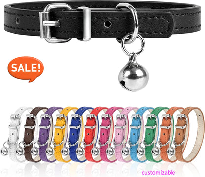 Adjustable Teacup Dog Collar