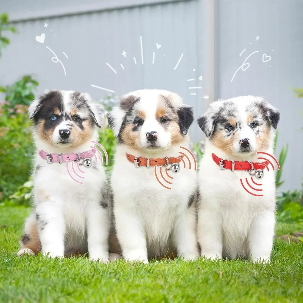 Adjustable Teacup Dog Collar